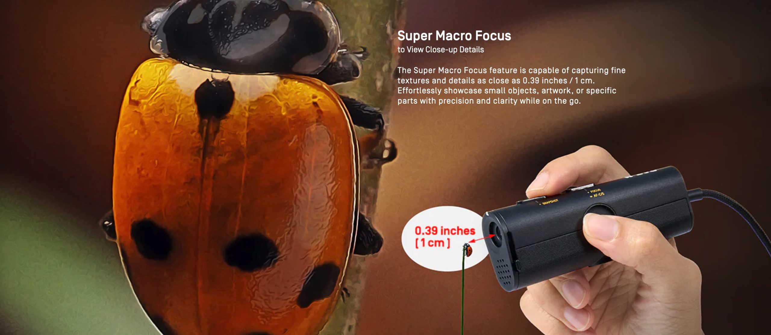 Super Macro Focus